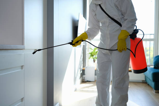Best Mold Testing and Inspection Services in West Hollywood, CA
